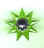 Lucite Matchless Star Green.jpg (27247 bytes)