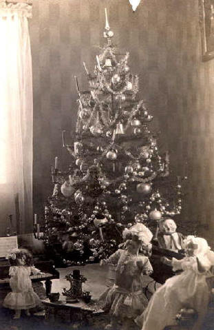 vintage tree photos