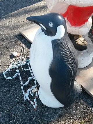 penguin.jpg