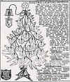1919 Sears Festoon Ad.jpg (128408 bytes)