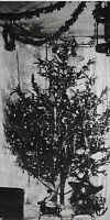 First Electric Tree.jpg (66465 bytes)
