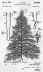 Lighting Harness.jpg (95913 bytes)