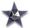 NOMA Neon Star close.jpg (16466 bytes)