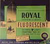 fluorescent outside.jpg (34677 bytes)